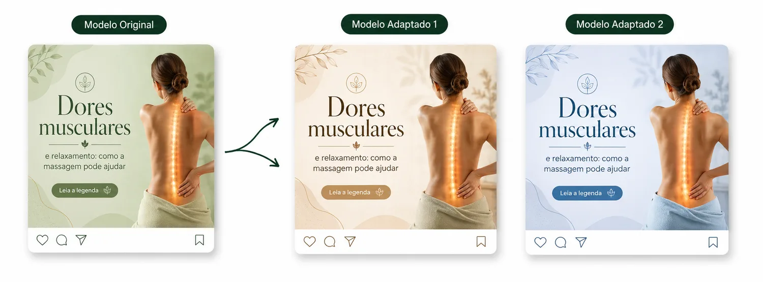Modelo original e versões adaptadas 2